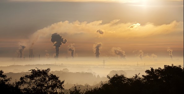 Silhouette of Trees Among Carbon Emissions