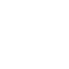 checklist icon.png