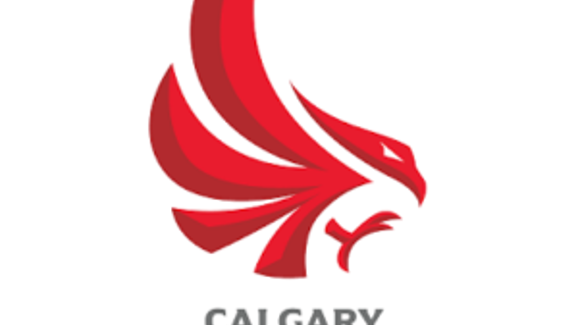 Calgary Surge