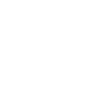 Network Icon White