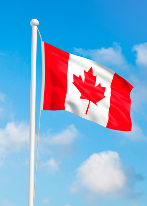 GESC Website Vertical Tab (300 X 420 Px)