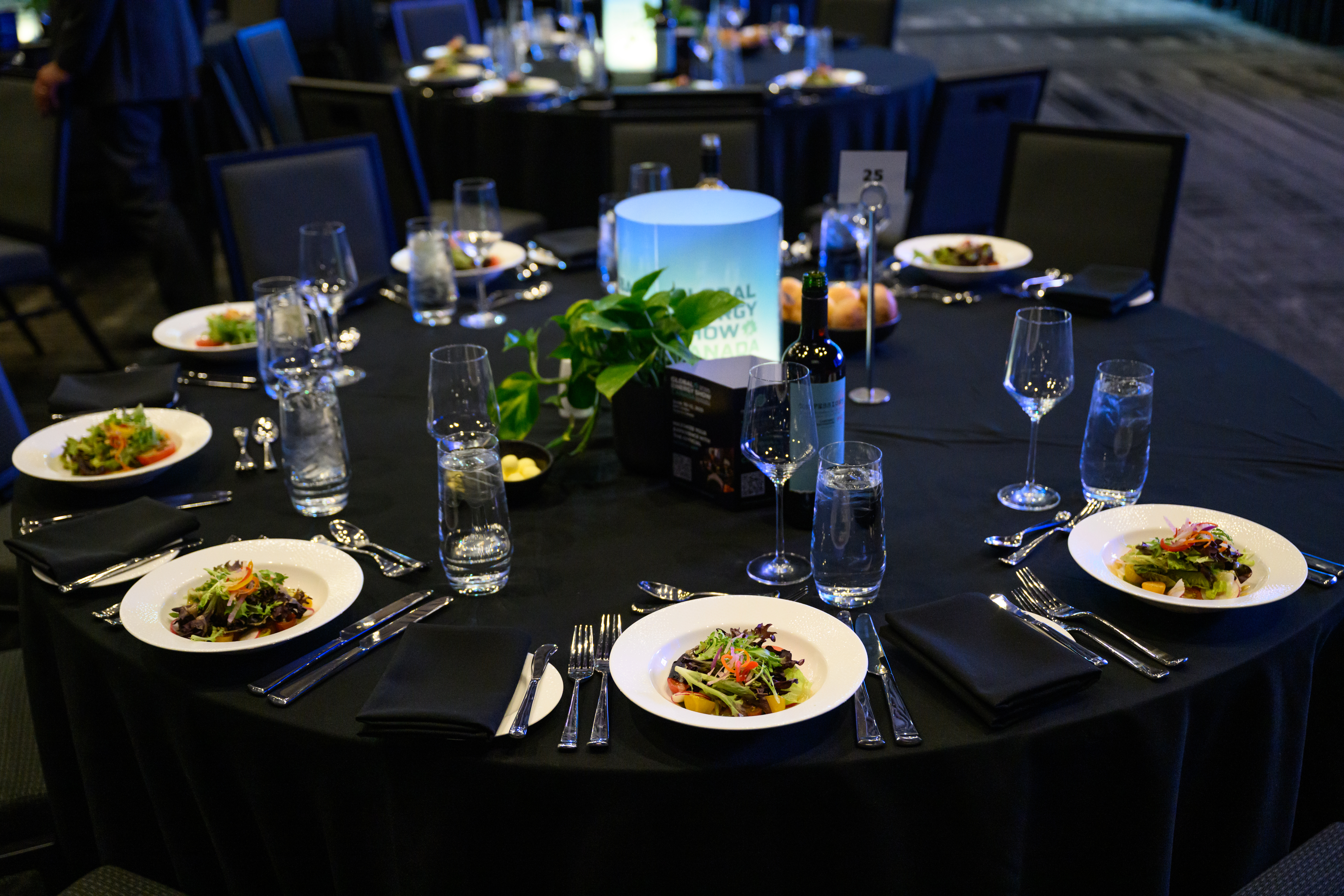 Global Energy Show 2025 Executive Conference Day 01 126